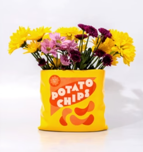 Vase paquet de chip's, Ban.do