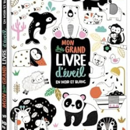 Livre noir et blanc