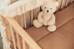 Peluche Teddy Bear - Jollein