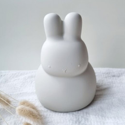 Tirelire silicone - Rammelaartje